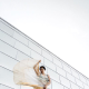 Illustration for article titled Facebook Is Using Famous Instagrammers To Show Off Its New Office